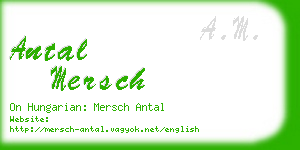 antal mersch business card